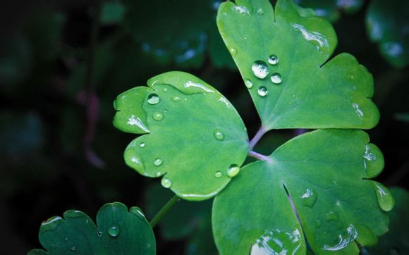 女表什么品牌比较便宜