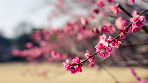 杭州西湖一日游有什么攻略和必要