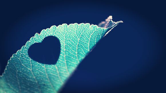 26岁男人带什么表