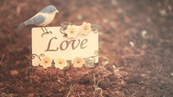 双狮手表怎么换字面