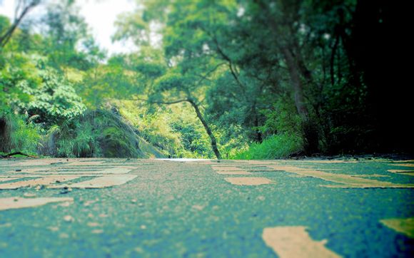 瑞士买表在哪里