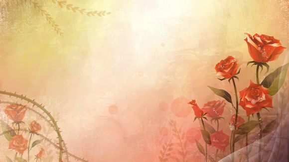 女表欧米茄表多少钱