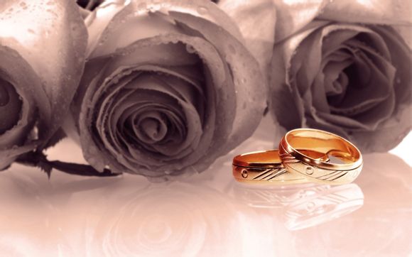 怎么看天梭型号