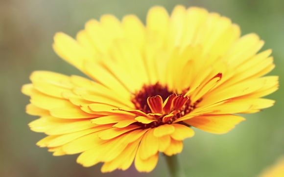 真皮表带怎么带