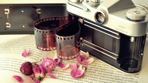 dw手表收多少钱一个