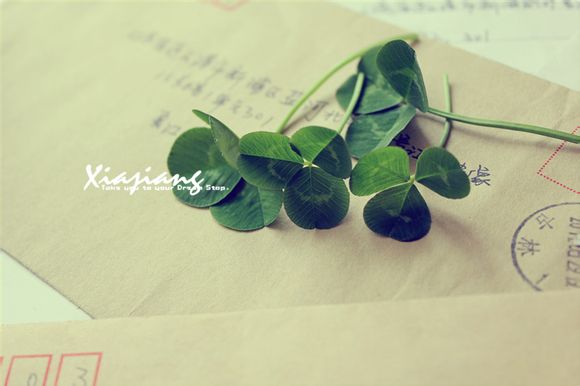 手表怎么安装教程