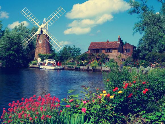 你针棒什么意思