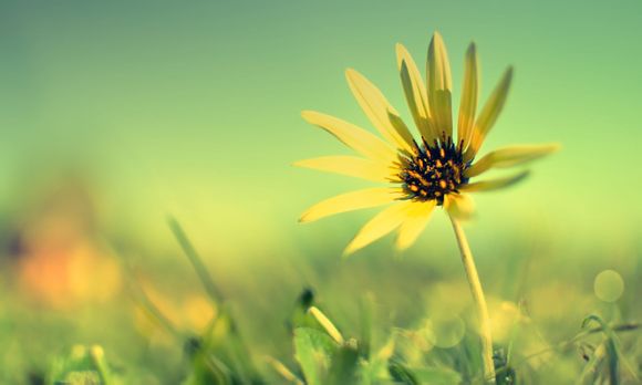 真力时大飞什么颜色好看