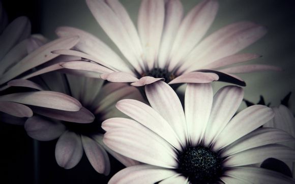 宾利手表坏了怎么修