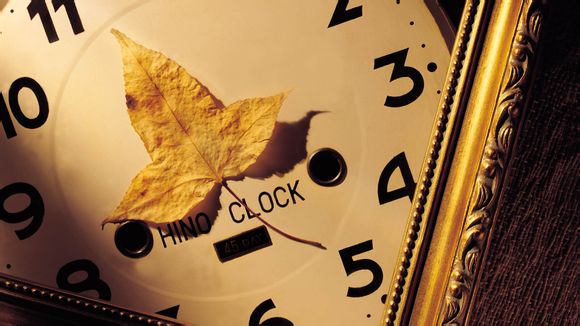 法国蓝价格是多少