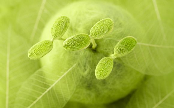 深圳哪里有正规回收手表