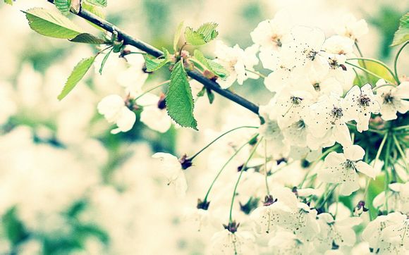 怎么知道guess包的货号