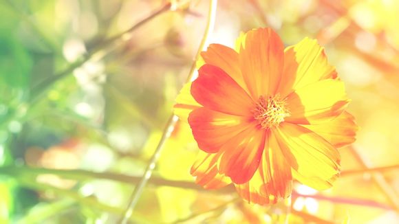 劳力士玻璃水印怎么看