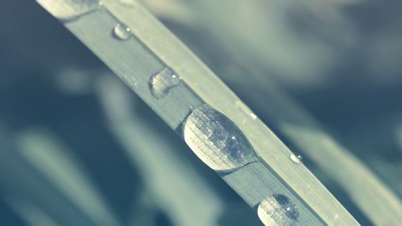 表带用什么皮的好看吗