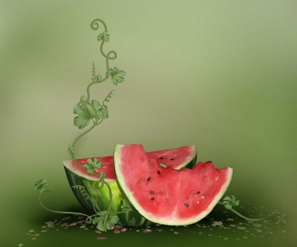 积家不戴怎么摆放