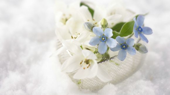 欧米茄海马怎么换布表带