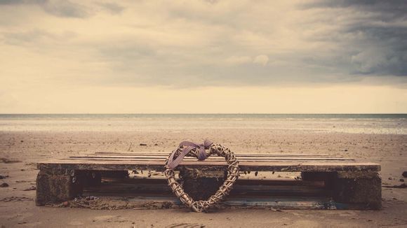 帝舵碧湾美国多少钱