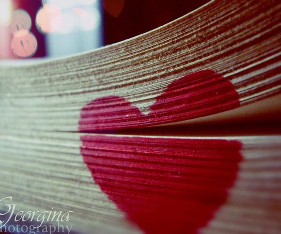 劳力士手表是什么材料