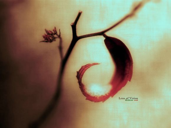 飞亚达手表质量怎么样