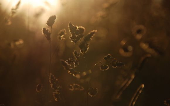 dw手表如何鉴定