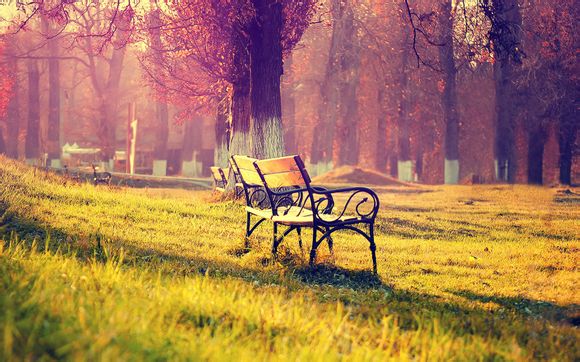 精工鲍鱼壳是什么意思