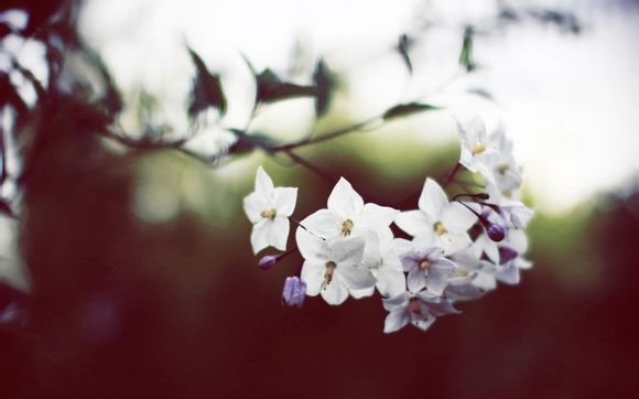 情人送表是什么意思