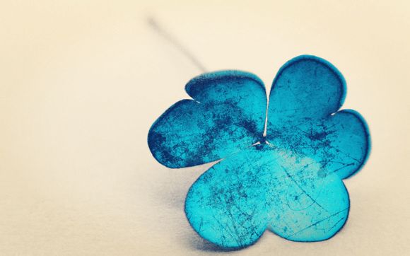 dw手表布袋的价格多少