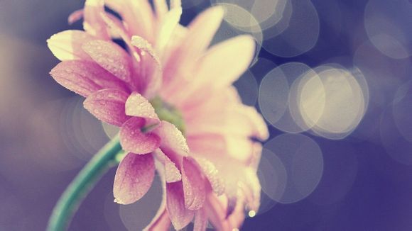 卡西欧电子表如何计时