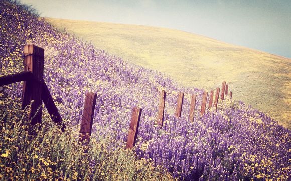 浪琴二手石英表多少钱