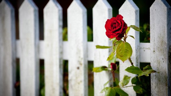 漳州古城修表店怎么样