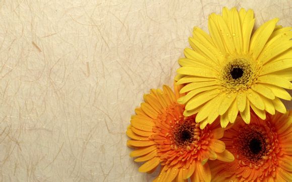 青岛哪里买二手表