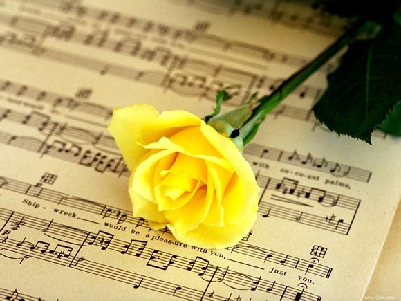 宇舶恒宝是什么机芯