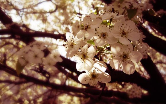 浪琴669.4多少钱