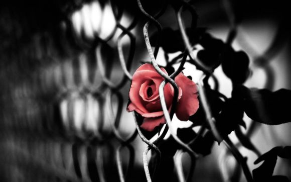 康斯登手表属什么档次