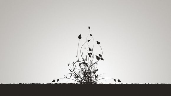 天王表世界排名多少