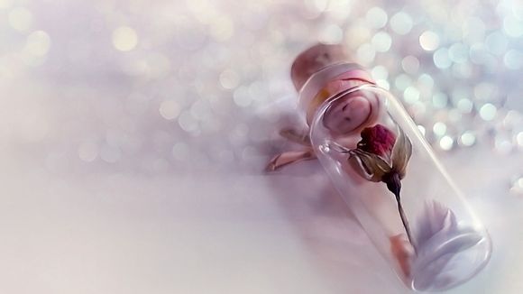 天梭专柜比代购贵多少