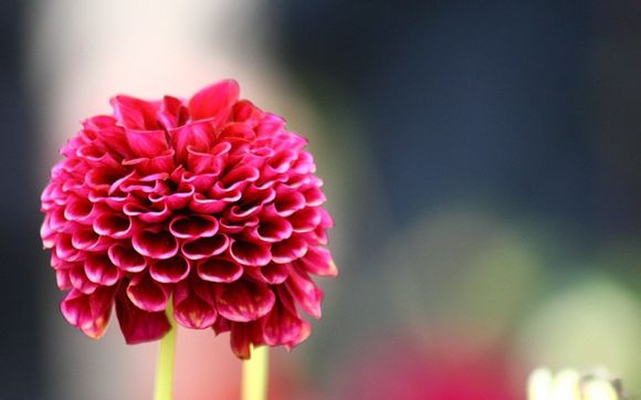 手表保修要出示什么