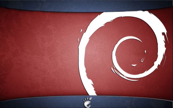 怎么样买海鸥手表