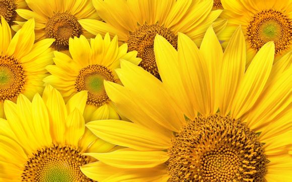 手表机芯号能代表什么