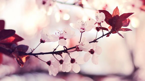 怎么查古驰手表款式