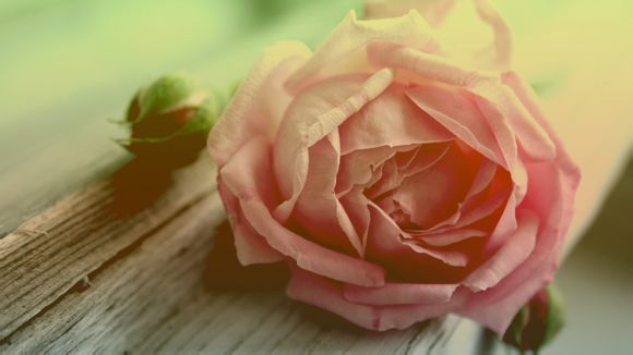 什么表标志好看