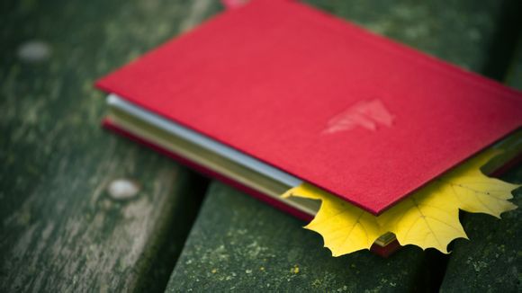 陀飞轮那根轴有什么作用